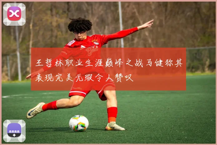 王哲林职业生涯巅峰之战马健称其表现完美无瑕令人赞叹
