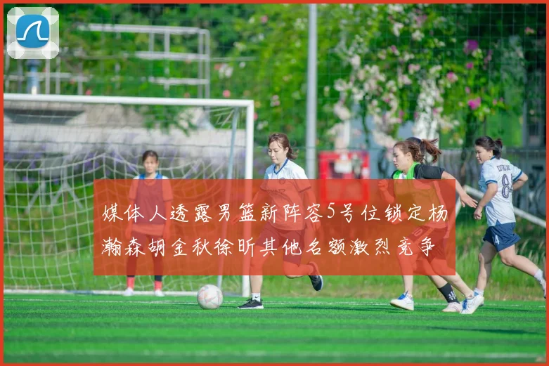 媒体人透露男篮新阵容5号位锁定杨瀚森胡金秋徐昕其他名额激烈竞争