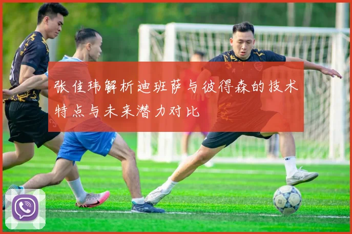 张佳玮解析迪班萨与彼得森的技术特点与未来潜力对比